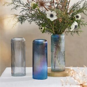 Anthropologie Luster Column Vase